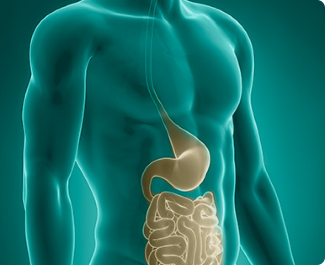 Cliadi Cl Nica E Cirurgia Do Aparelho Digestivo